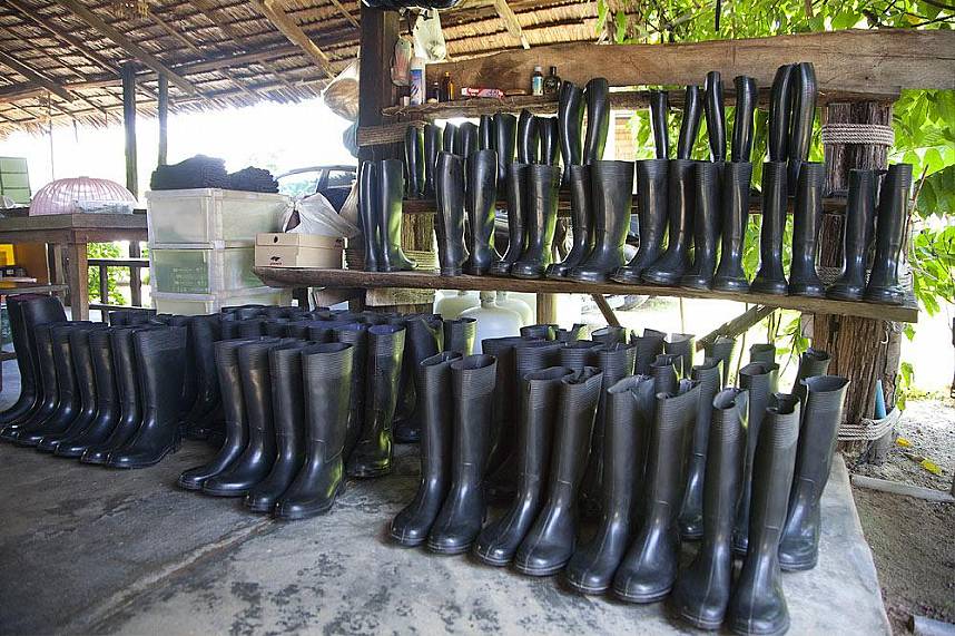 Every size is available at Phuket Horse Riding Club
