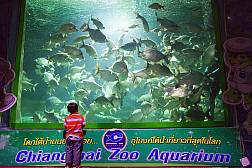 Зоопарк в Чианг Май
