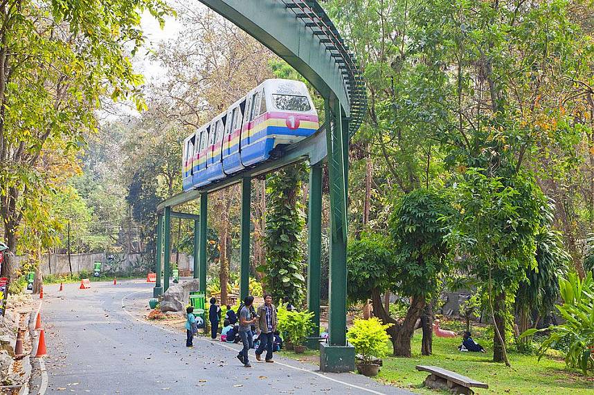 Tour Chiang Mai Zoo with the sky train, fun for the whole family