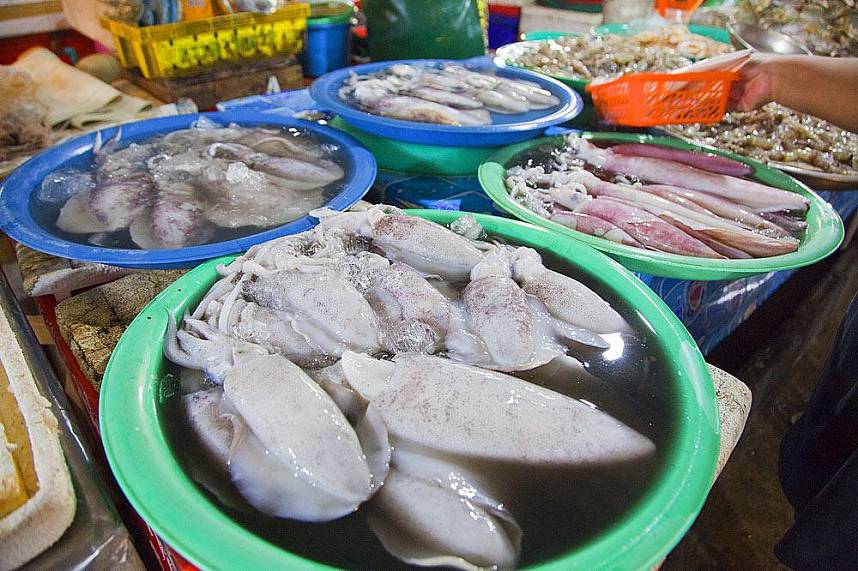 Enjoy during your stay at Samui a strill through the Bang Rak Fish Market