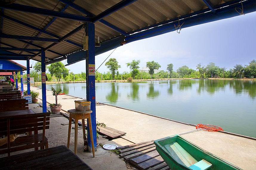 Pattaya Fishing Park offers quietness and fun 