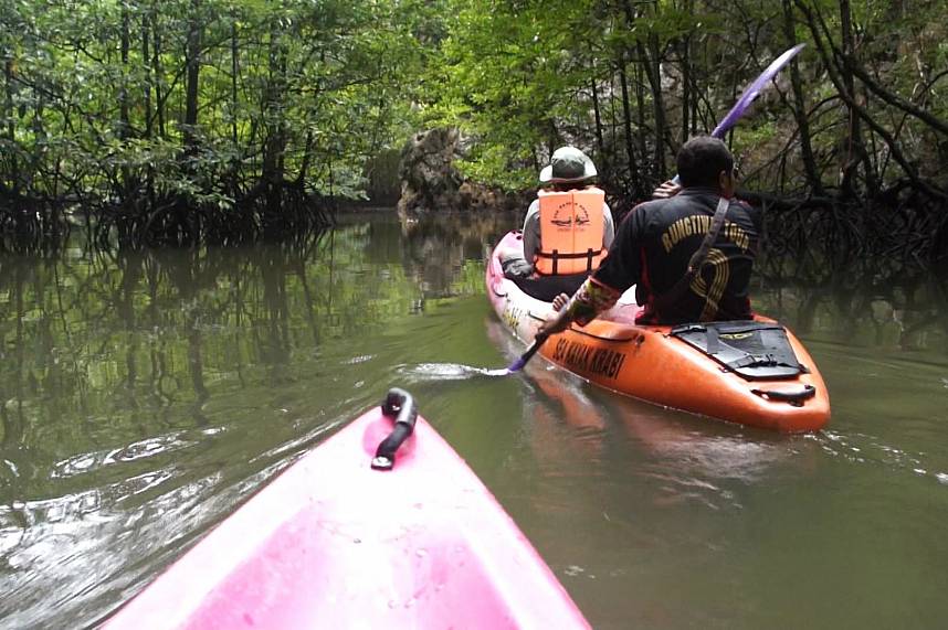Explore the mangrove forest with a Sea Kayak tour in Krabi