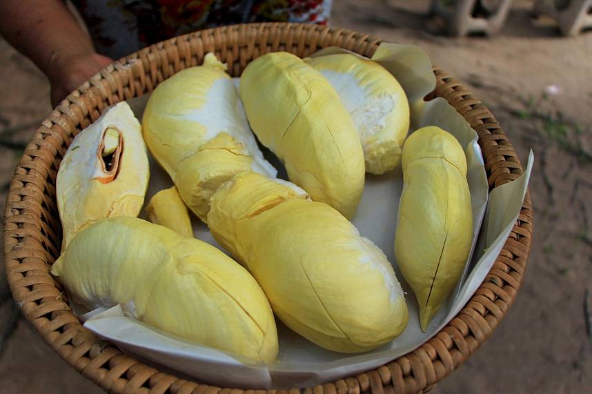 Durian are the most exotic fruits - try it during a trip to Rayong Orchards near Pattaya