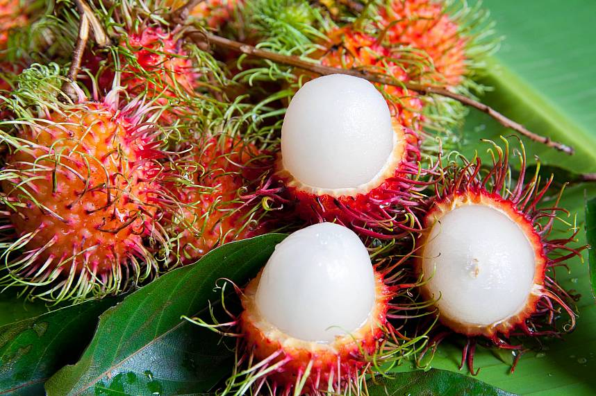 The most photogenic Thai fruits is certainly  Rambutan