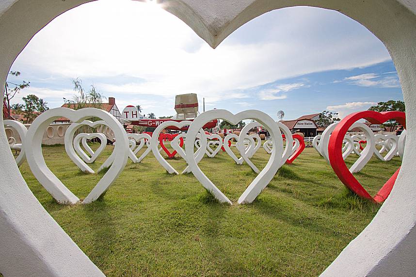 Guests really feel the love at Swiss Sheep Farm in Pattaya