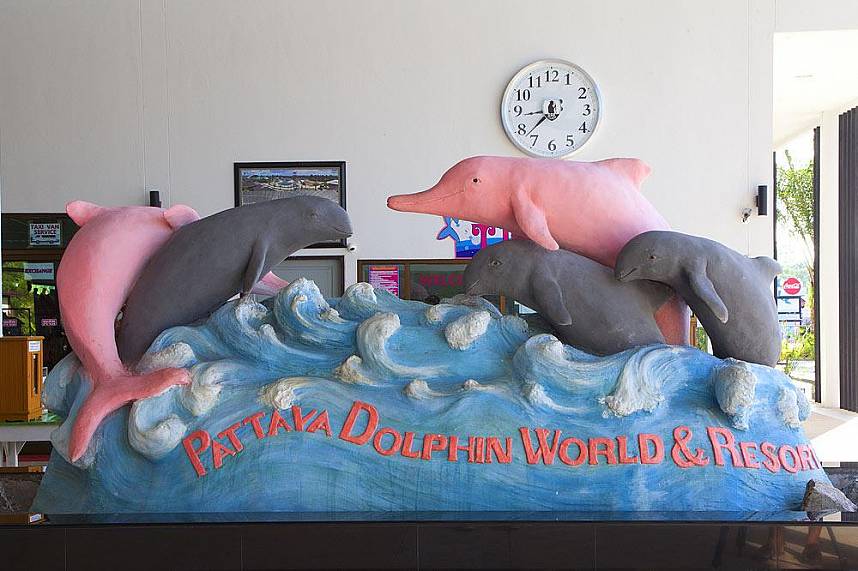 Lots of fun awaits you at Dolphin World Pattaya