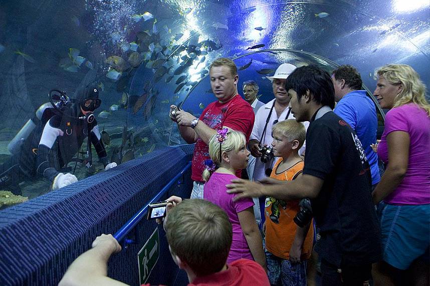 Diver inside the giant aquarium tunnel at Underwater World Pattaya