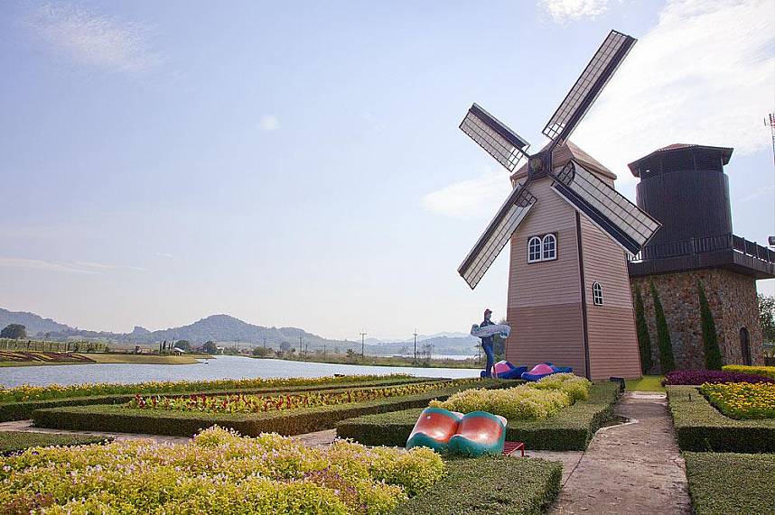 A windmill adds to the picturesque setting at Silverlake Vineyard Pattaya