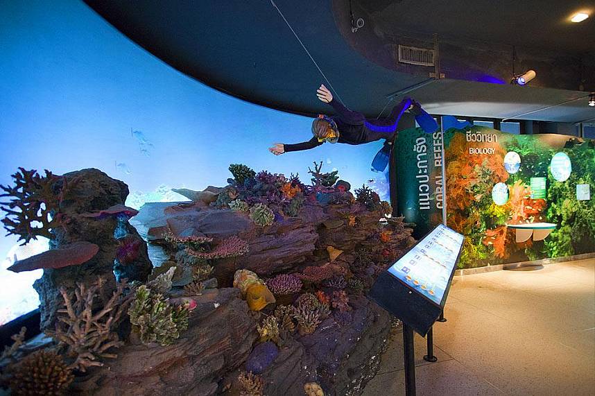 Phuket Aquarium shows all the different corals 