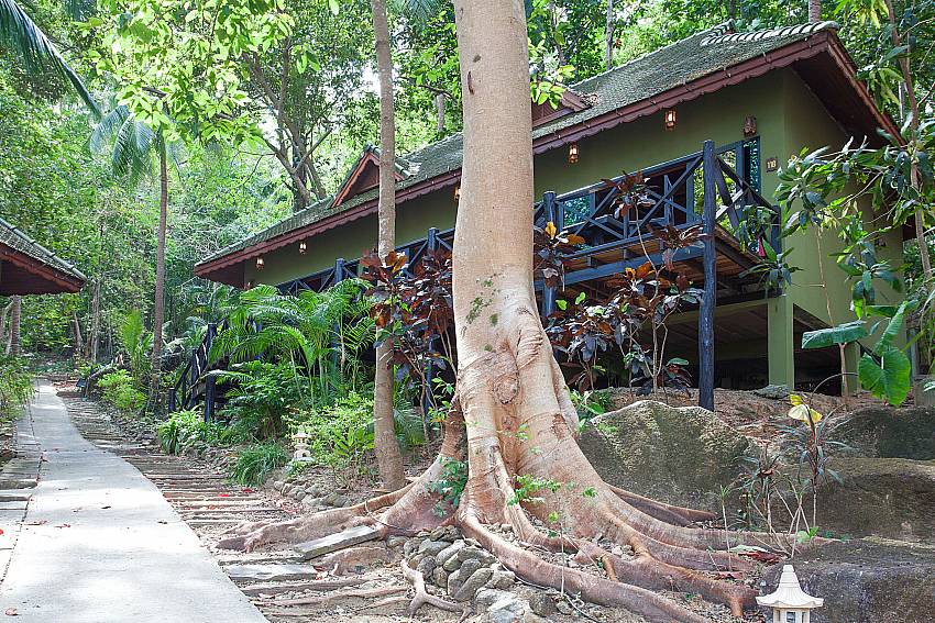 Property Natures Oasis Resort No.11B in South Koh Chang