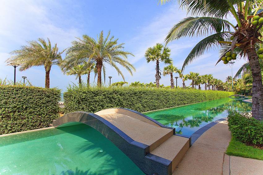 The tree around the pool outdoor Of Ocean Fringe Apartment A