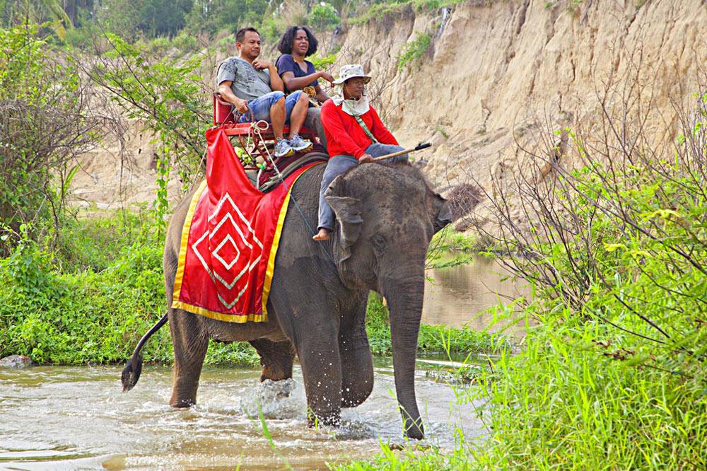chang thai thappraya safari and adventure park
